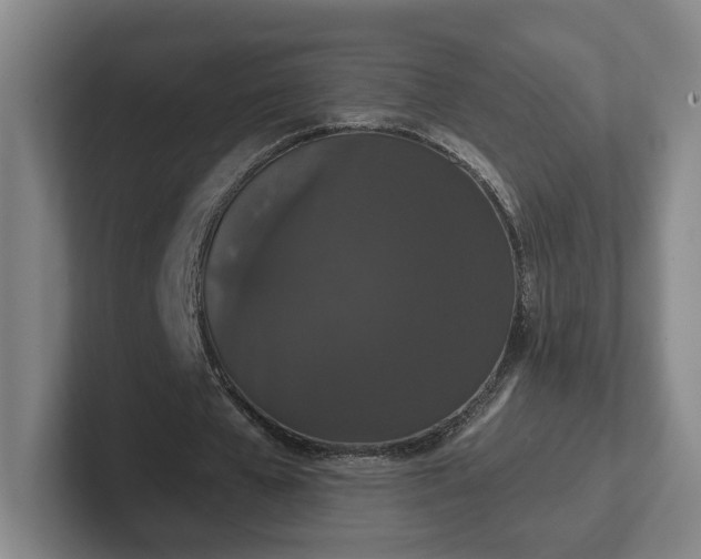 X0000102530577200808151557