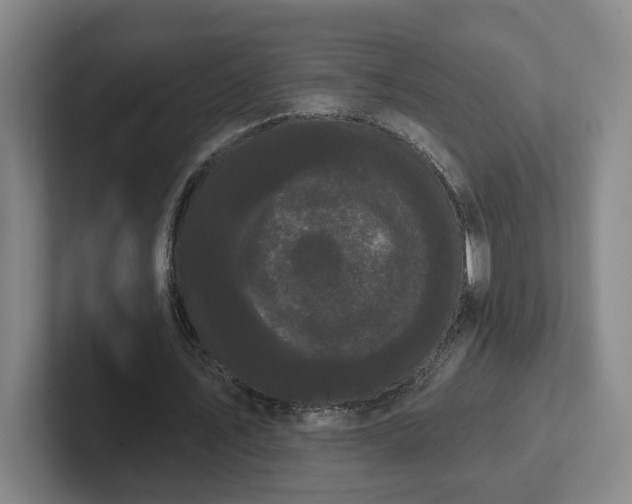 X0000102530579200808151557