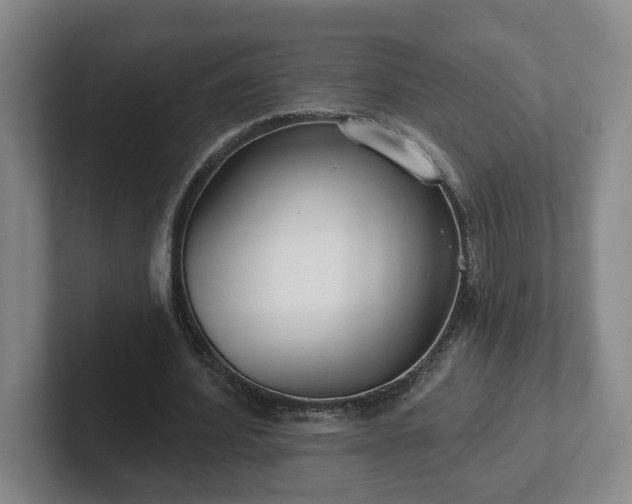 X0000102530580200808151557