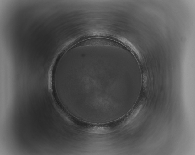 X0000102530581200808151557