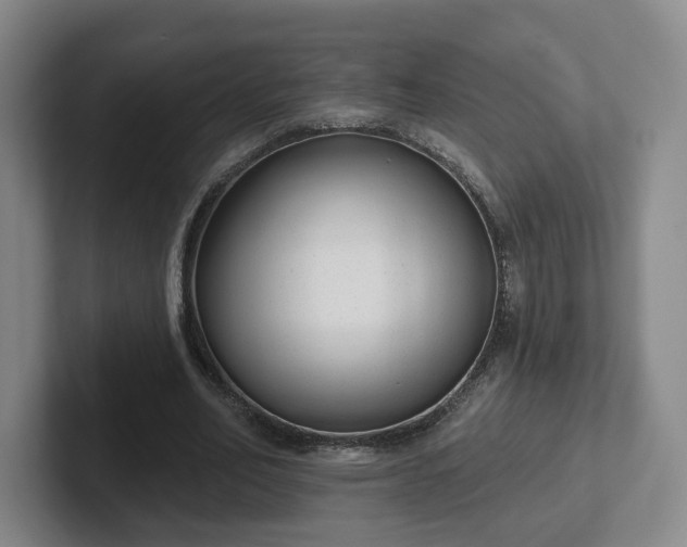 X0000102530582200808151557