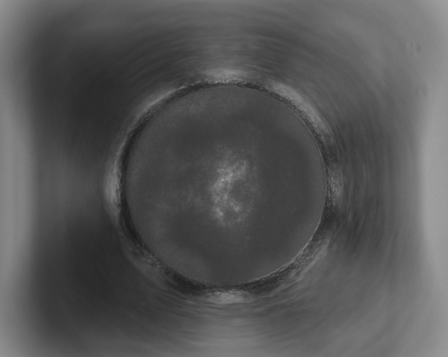 X0000102530583200808151557