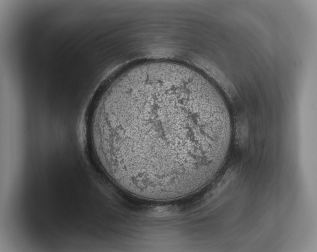 X0000102530584200808151557