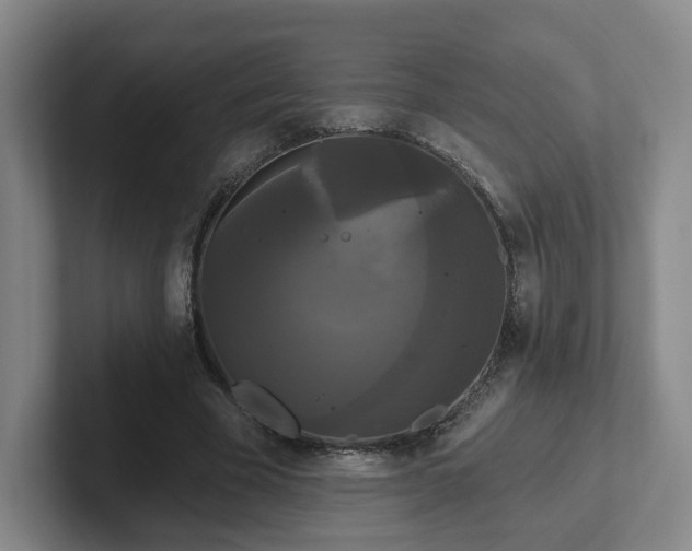 X0000102530585200808151557