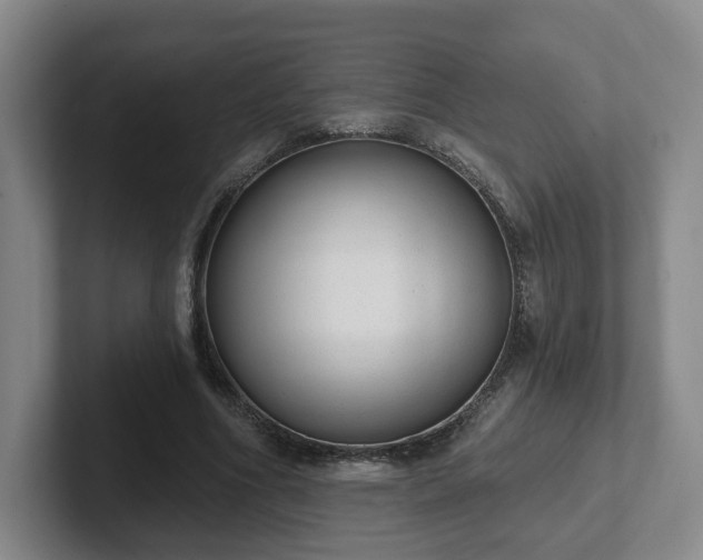 X0000102530586200808151557