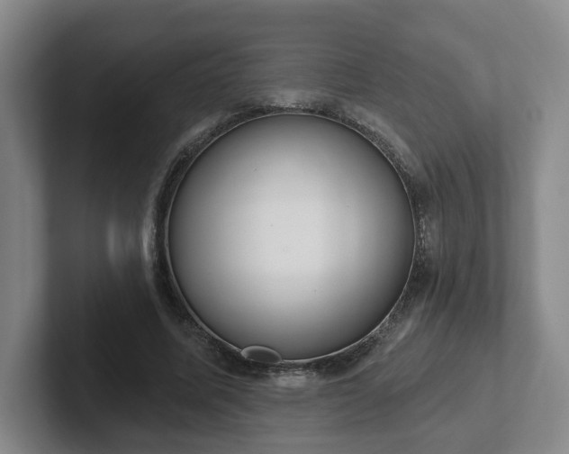 X0000102530587200808151557