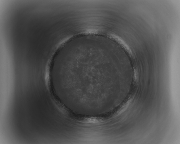 X0000102530588200808151557