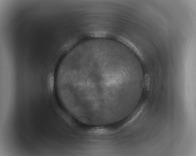 X0000102530589200808151557