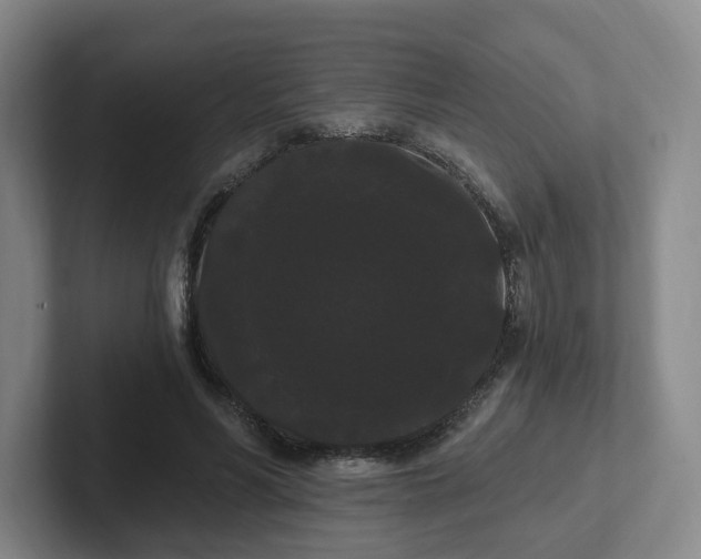 X0000102530590200808151557