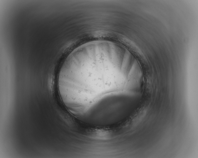 X0000102530592200808151557