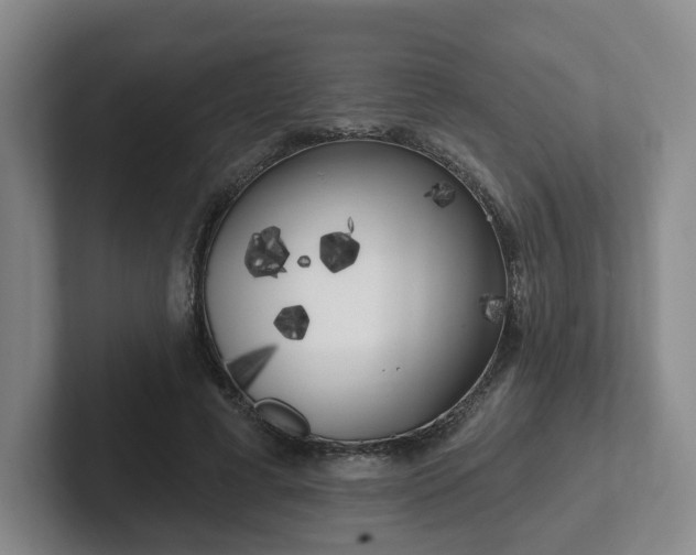 X0000102530593200808151557