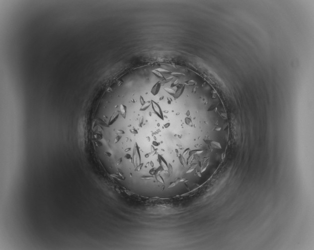 X0000102530594200808151557