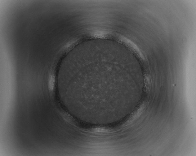 X0000102530596200808151557