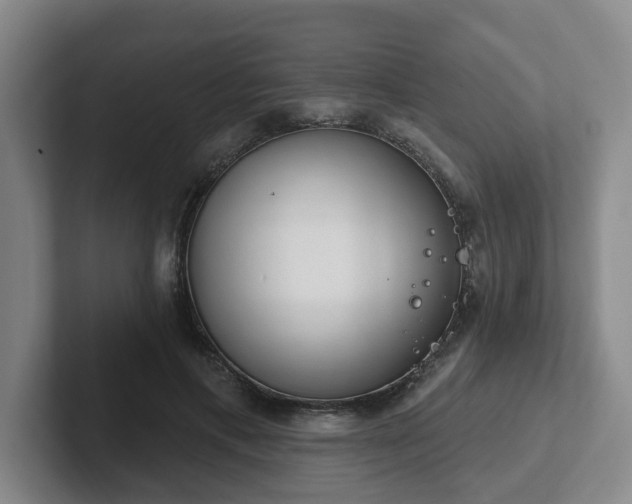 X0000102530597200808151557