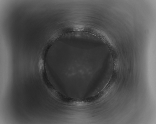 X0000102530598200808151557