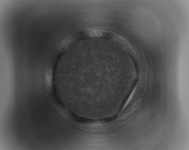 X0000102530600200808151557