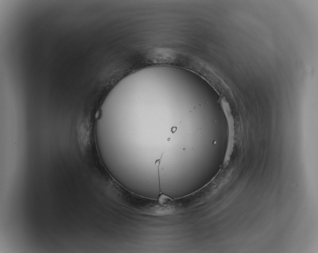 X0000102530604200808151557