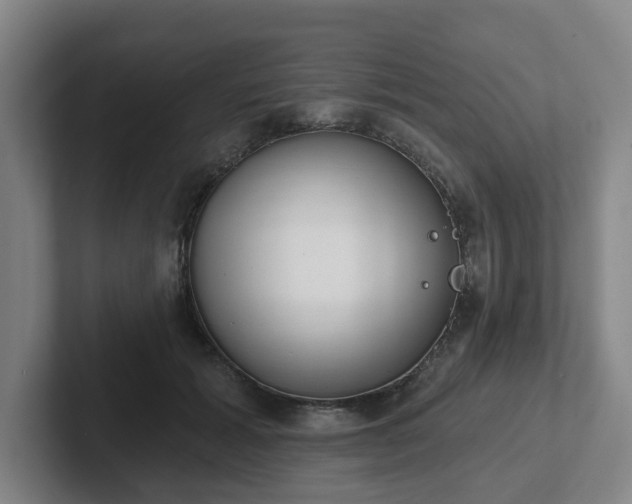 X0000102530605200808151557