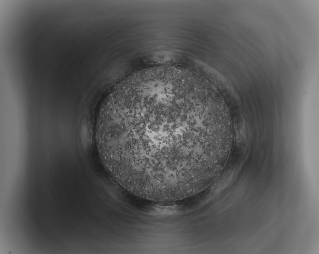 X0000102530606200808151557
