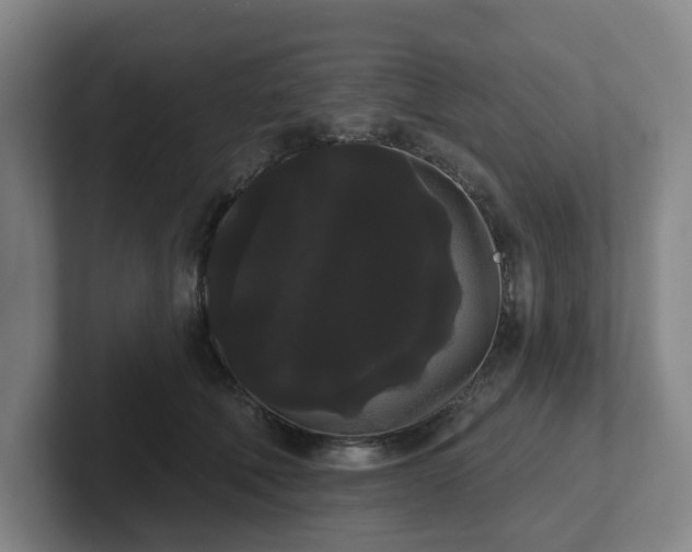 X0000102530610200808151557