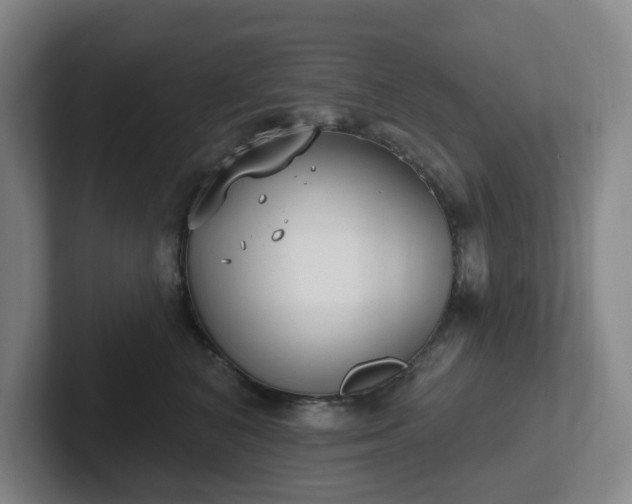 X0000102530616200808151557