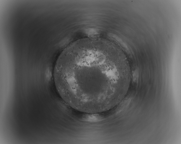 X0000102530618200808151557