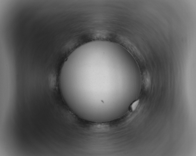 X0000102530619200808151557