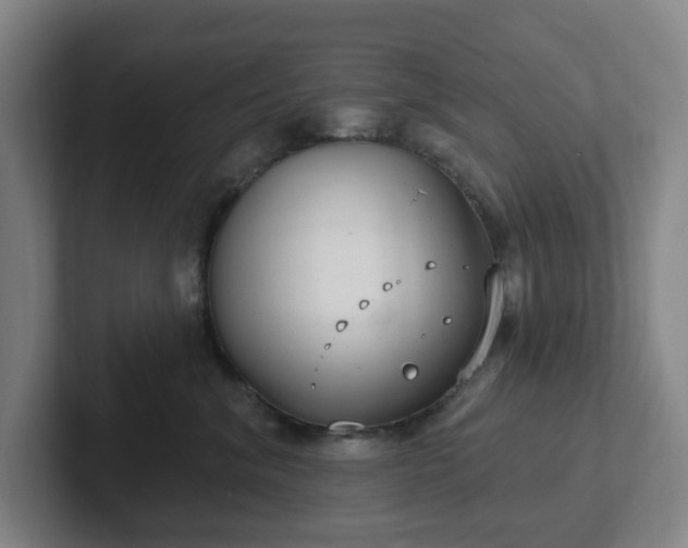 X0000102530620200808151557