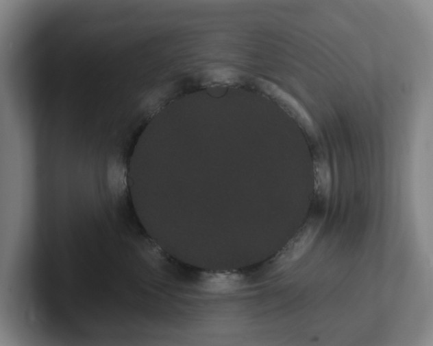 X0000102530621200808151557