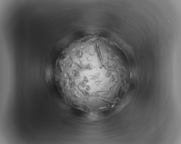 X0000102530623200808151557