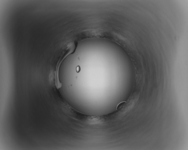 X0000102530624200808151556