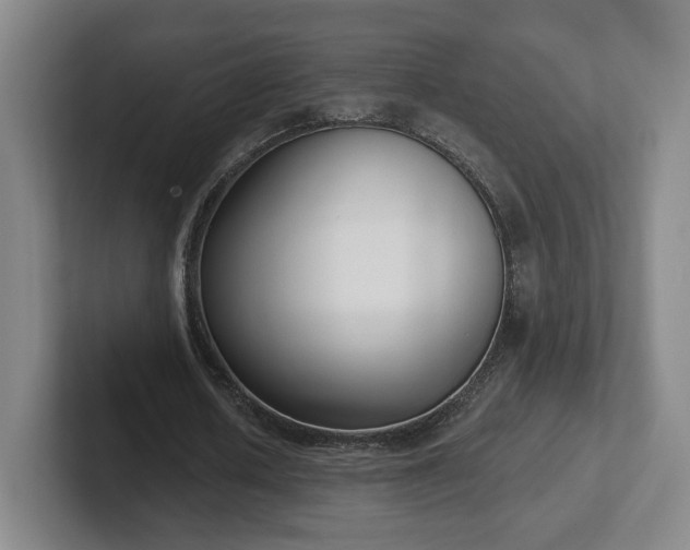 X0000102530626200808151556