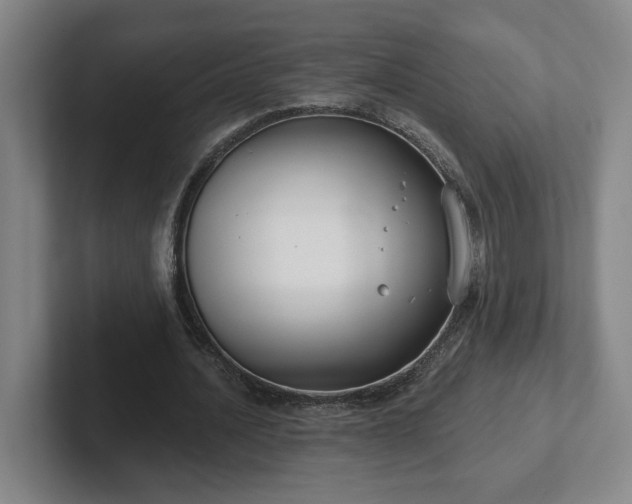 X0000102530628200808151556