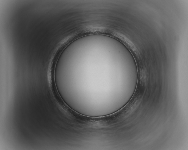 X0000102530629200808151556