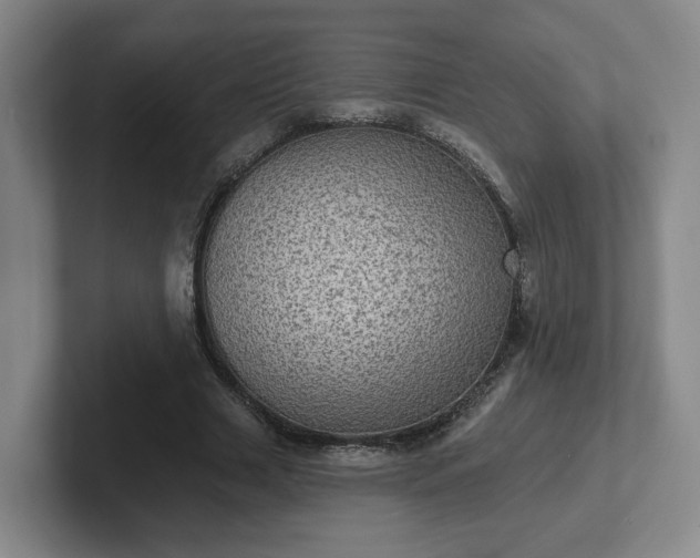 X0000102530633200808151556