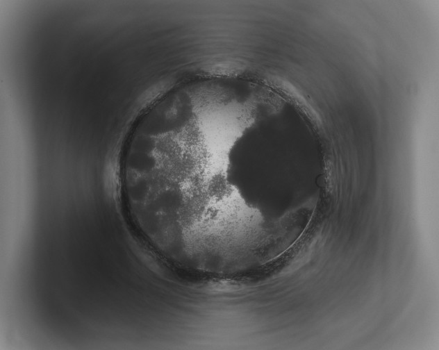 X0000102530634200808151556