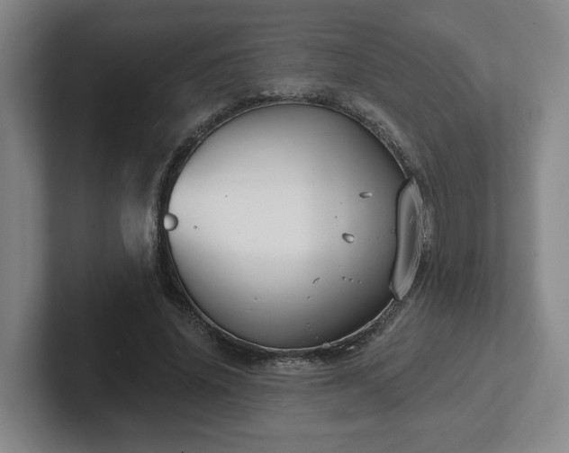 X0000102530636200808151556