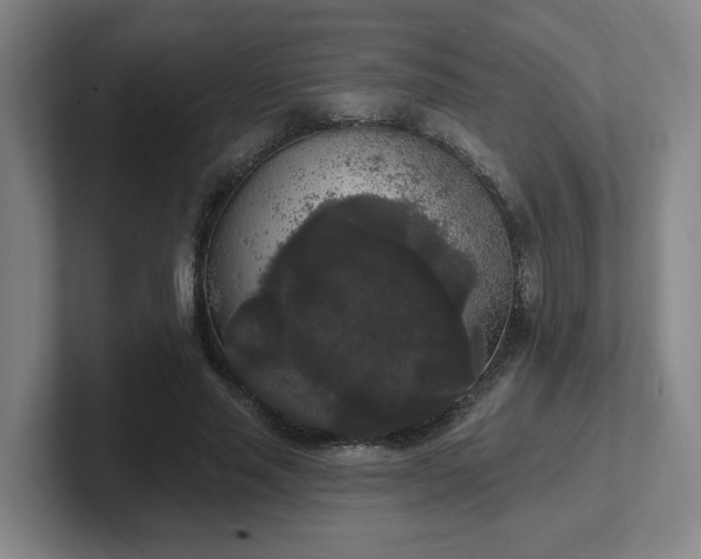 X0000102530637200808151556