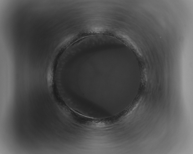 X0000102530640200808151556