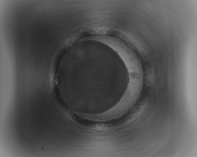 X0000102530641200808151556