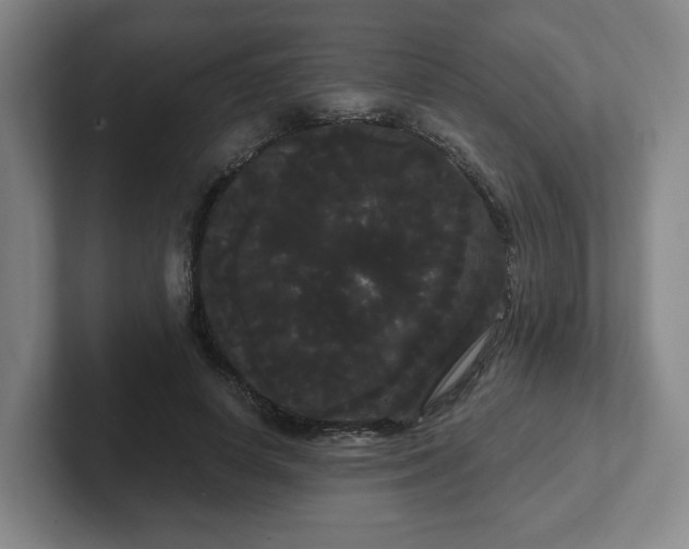 X0000102530642200808151556