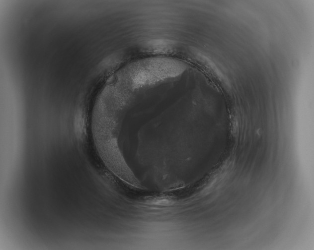 X0000102530643200808151556