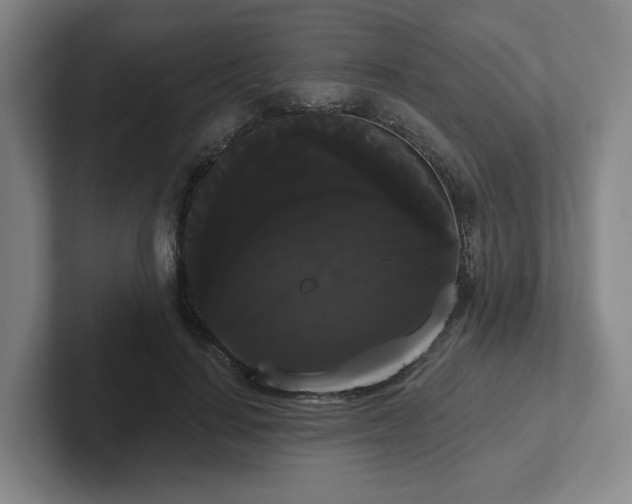 X0000102530644200808151556