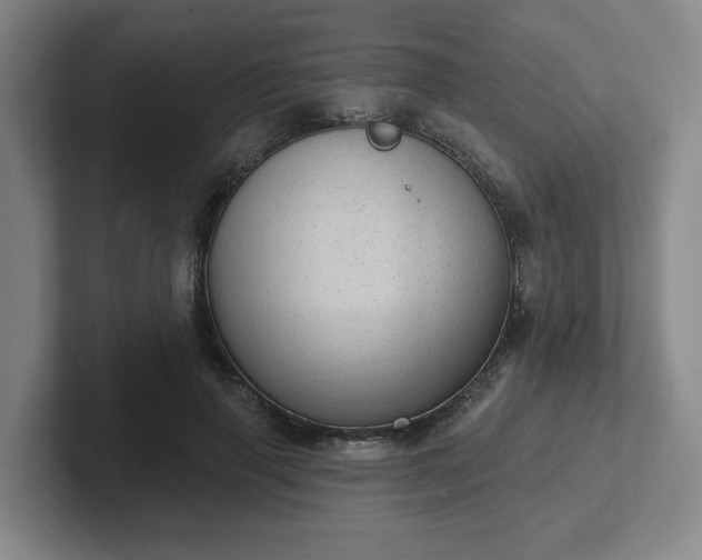 X0000102530645200808151556