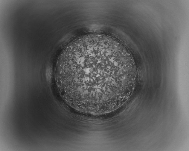 X0000102530648200808151556