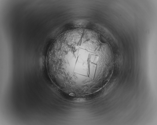 X0000102530649200808151556