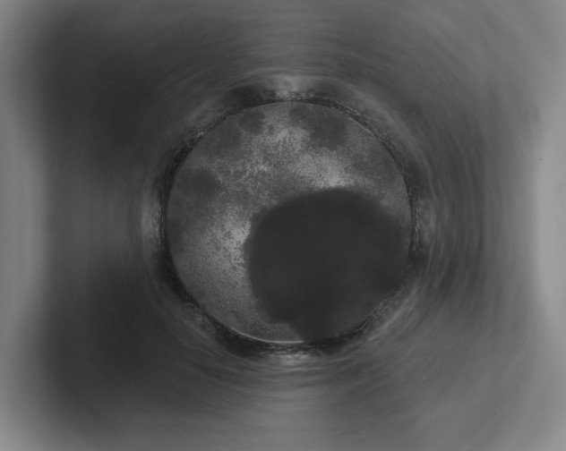 X0000102530650200808151556