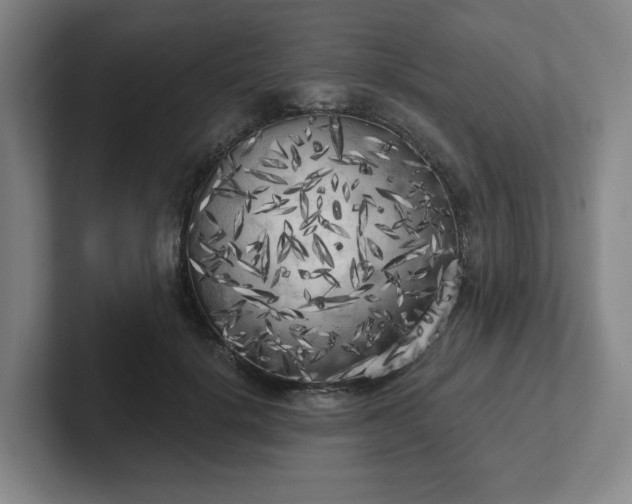 X0000102530652200808151556