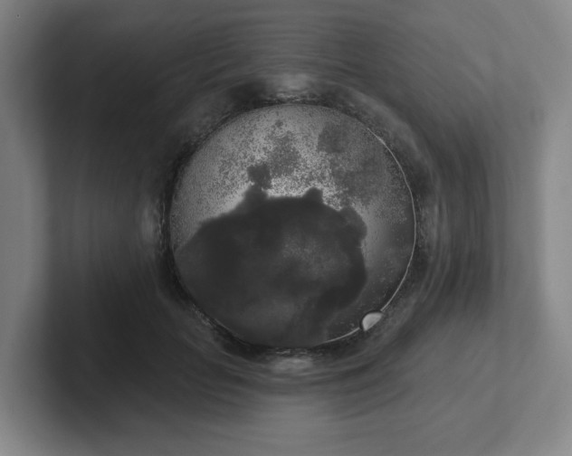 X0000102530653200808151556