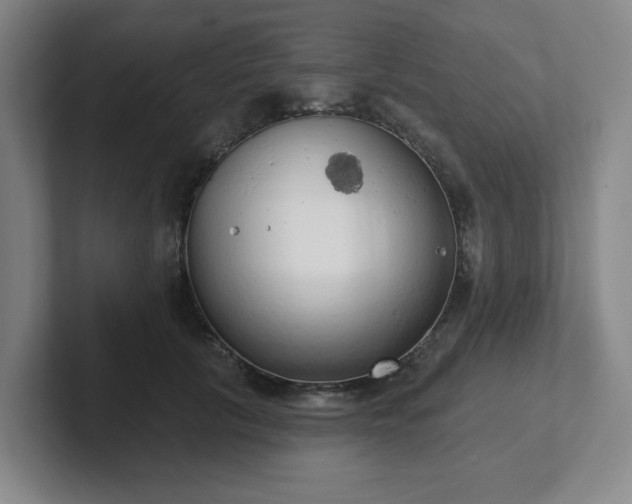 X0000102530657200808151556